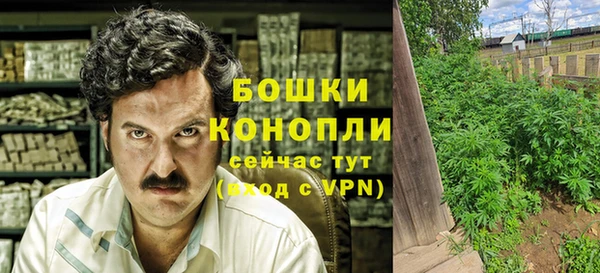 spice Алзамай