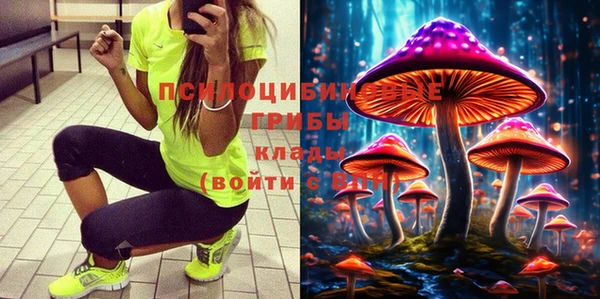 spice Алзамай