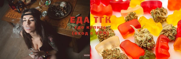 spice Алзамай