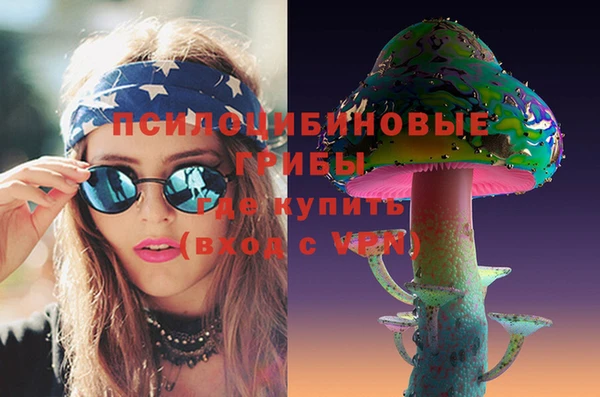 spice Алзамай