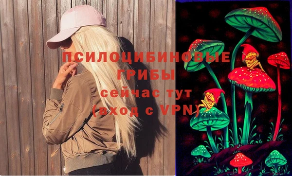 СК Алексин