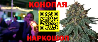 амф Севастополь