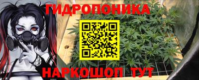 амф Севастополь