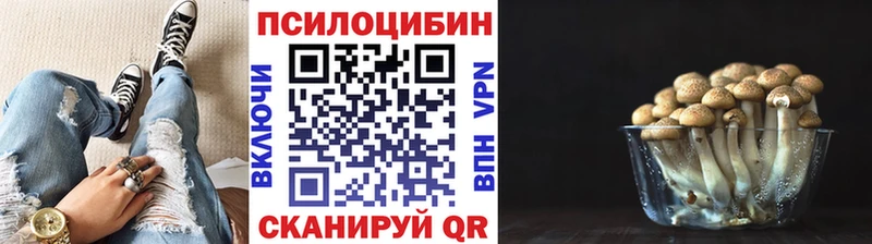 дарнет шоп  Омск  Псилоцибиновые грибы мухоморы 