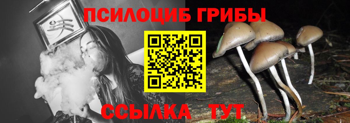 Псилоцибиновые грибы ЛСД  Вход с VPN  Омск 